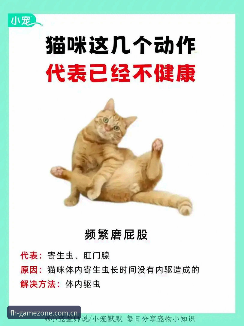 fh体育平台下载与使用完整指南：从安装到进阶的技巧解析